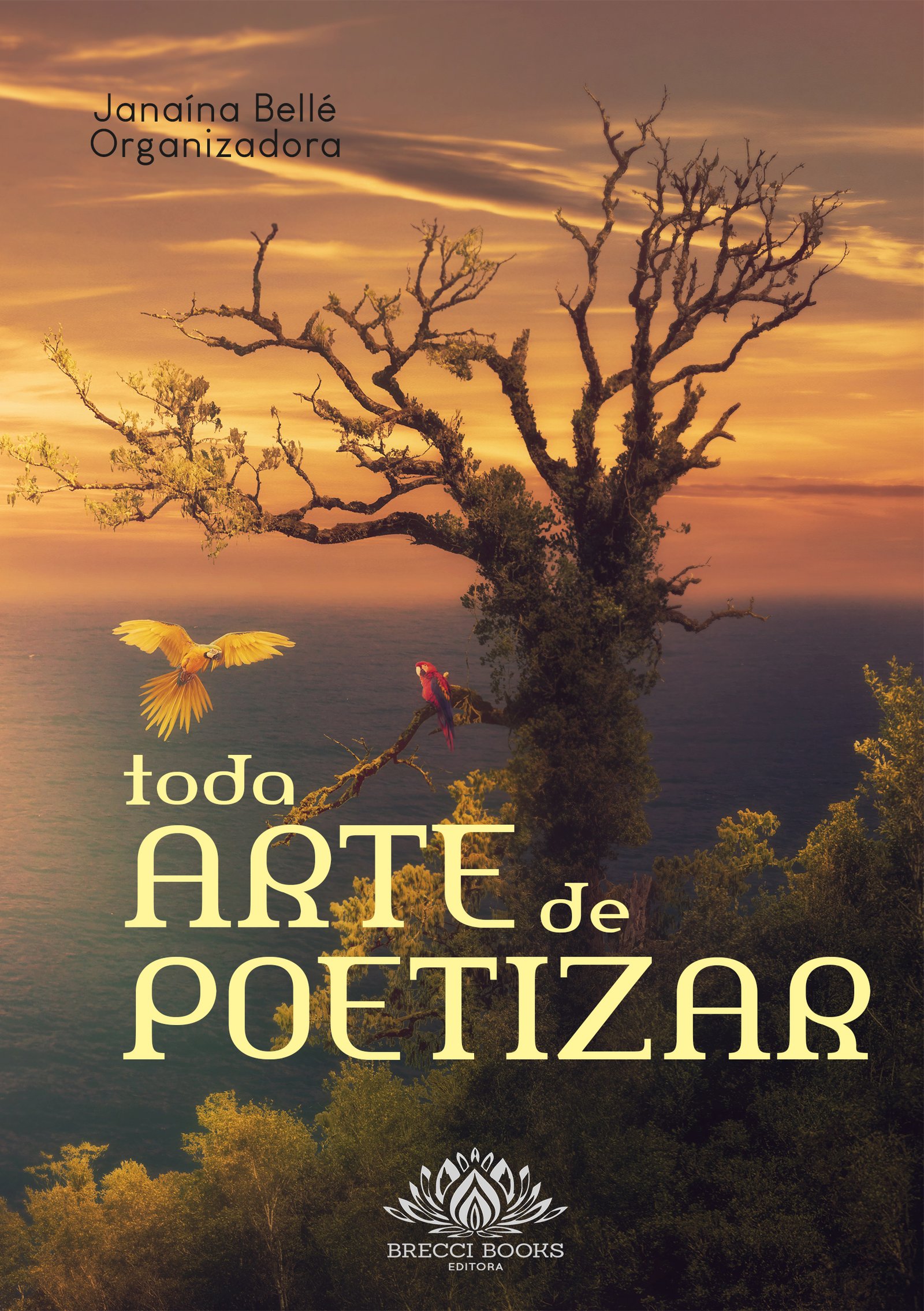 TODA ARTE DE POETIZAR